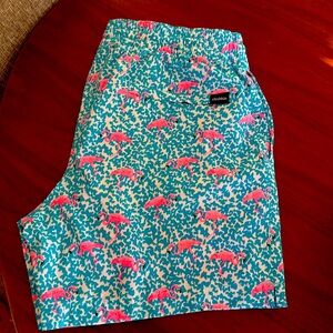 Chubbies swim trunks